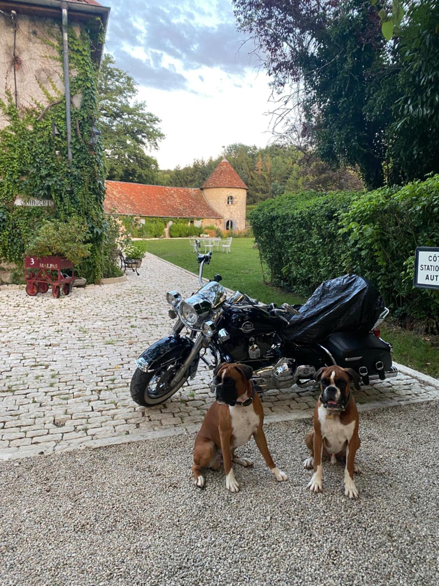 La Roulotte Deluxe De Malpas Bed & Breakfast Quingey Dış mekan fotoğraf